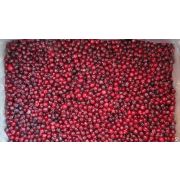 Брусника Вишера-Плюс замороженная вес 1х10кг Китай