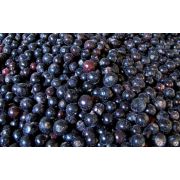 Ягода Смородина черная АГАМА ИМПЭКС Республика Молдова